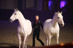 Mini IMG 5928